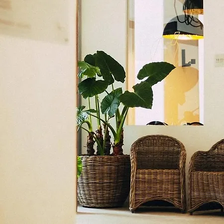 Hotel Icon Roseto 4*